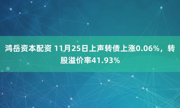 鸿岳资本配资 11月25日上声转债上涨0.06%，转股溢价率41.93%