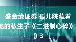 盛金缘证券 孤儿院藏着她的私生子《二进制心碎》3